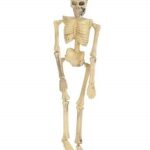 Esqueleto de Halloween de 45 cm