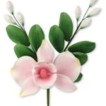 Pastilla de orquídea 20cm