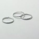 Alianza Plateada Sc.12