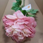 Peonía LILA con tallo de 2 60 cm