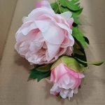 Tallo de peonea rosa C2/52cm