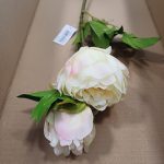 Tallo de peonía champán C2/52cm