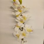 Tallo de orquídea blanca de 75 cm