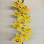 Haste de Orquidea Amarela 75cm