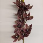Tallo de orquídea de café de 75 cm