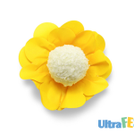 Formulario de papel estilo amarillo 40 unidades.