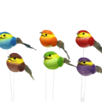 Pájaro de 6 colores de 8,5 cm, caja de 12