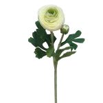 Haste de Peónia Branca C/2 50cm