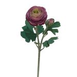 Haste de Peónia Violeta C/2 50cm