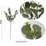 Tallo de Eucalipto Verde C/27 85cm