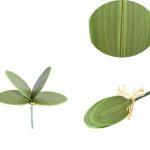 Hoja de orquídea verde C/4 30cm