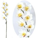 Orquídea Blanca C/7 78cm