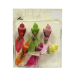 Pájaro 6 Colores 12cm Caja.12