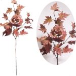 Varilla de roble rojo de 85 cm