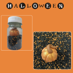 Azúcares + Calabaza Walloween +-55g