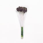 Estambres marrones de 74 x 3 mm, paquete de 50