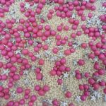 Mezcla de confeti rosa para niñas 60 g