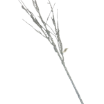 Tallo de raíz de plata de 90 cm