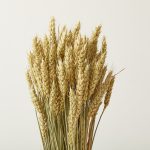 Salsa de trigo verde