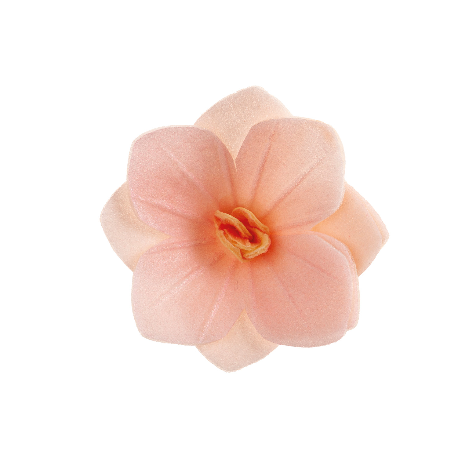 Flor Anfitriona Rosa Claro Ø 4cm Caja de 18