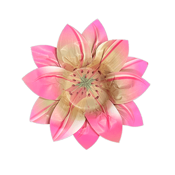 LILY Forma de papel rosa Ø 3,5 cm Caja 25