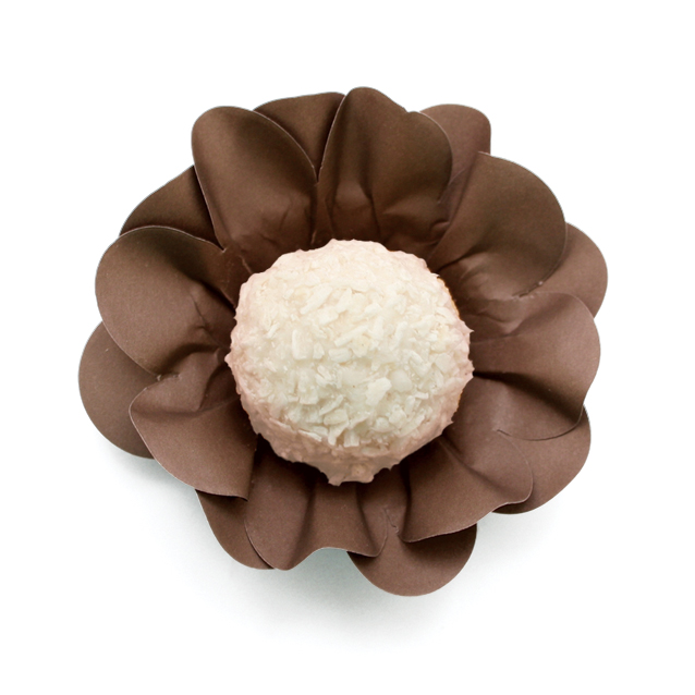 Forma de papel estilo marrón 40 unidades.